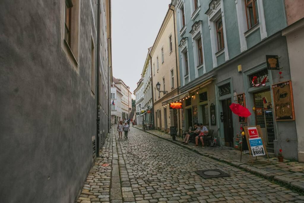 Cozy In The Heart Of The Historic Apartman